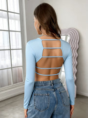 Light Blue Round Neck Long Sleeve Crop Slim Smooth Minimalist Chic Daily Casual Top