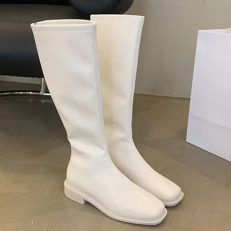 Pointed Toe Knee High Boots