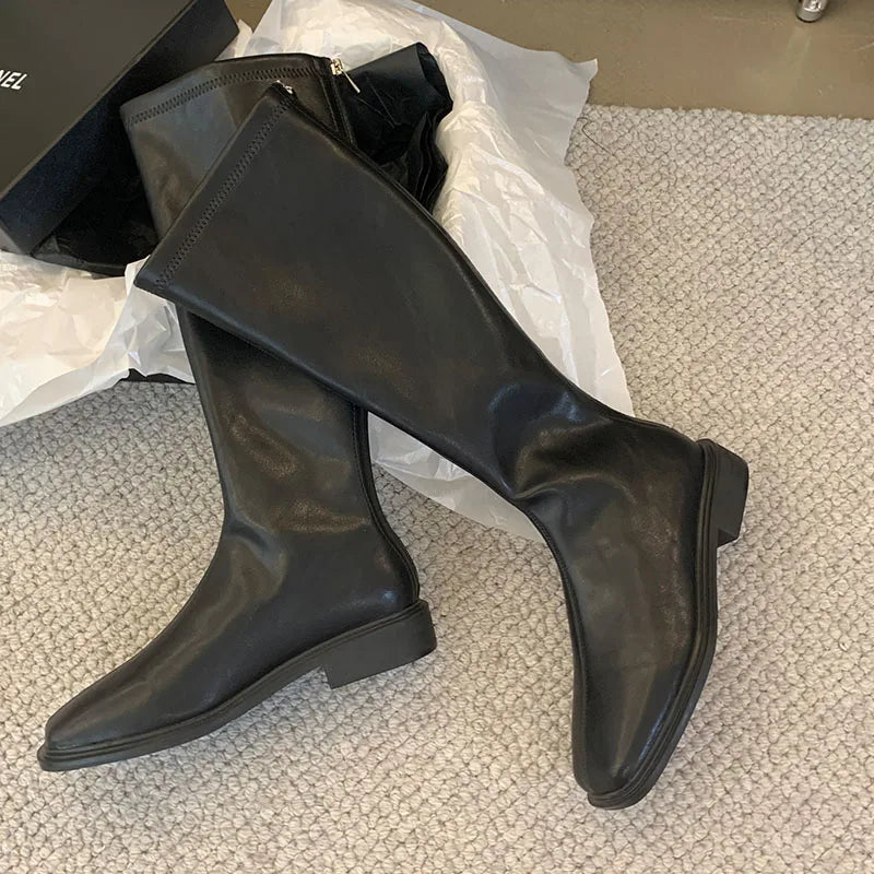 Pointed Toe Knee High Boots