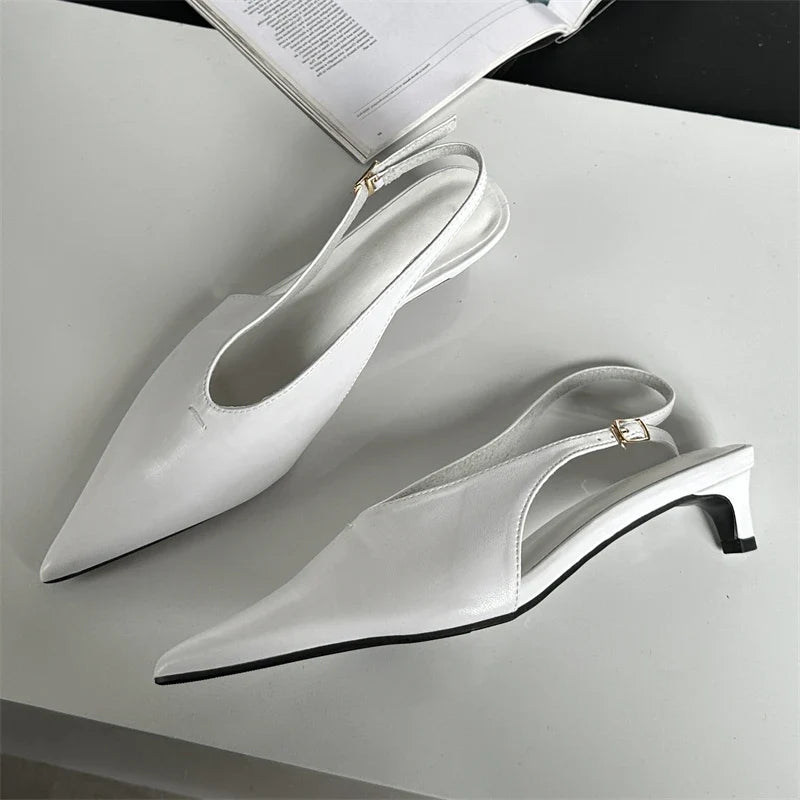 Designer Pointed Toe