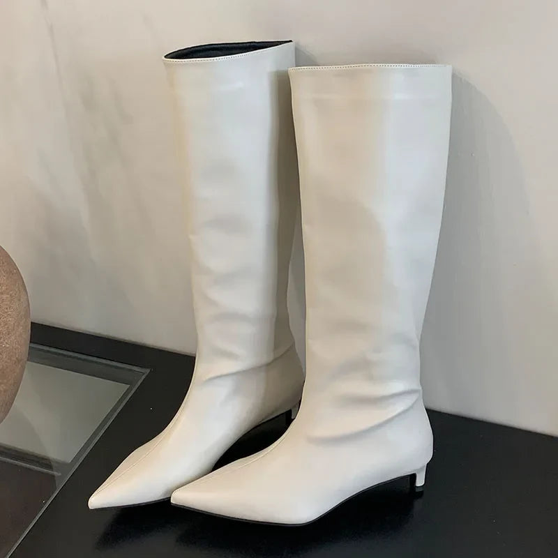 Female Designer Slip On Pointed Toe Low Heel Knee High Boots