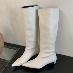 Female Designer Slip On Pointed Toe Low Heel Knee High Boots