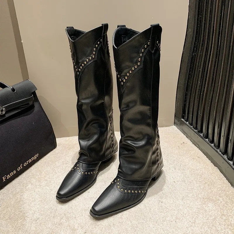 Pointed Toe Knee High Boots