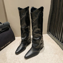 Pointed Toe Knee High Boots