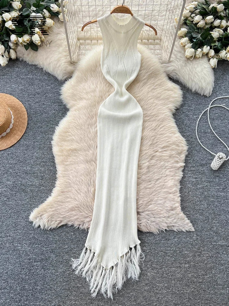 Vacation Tassel Knitted Dress