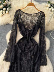 Sheer Lace Feminine Dress