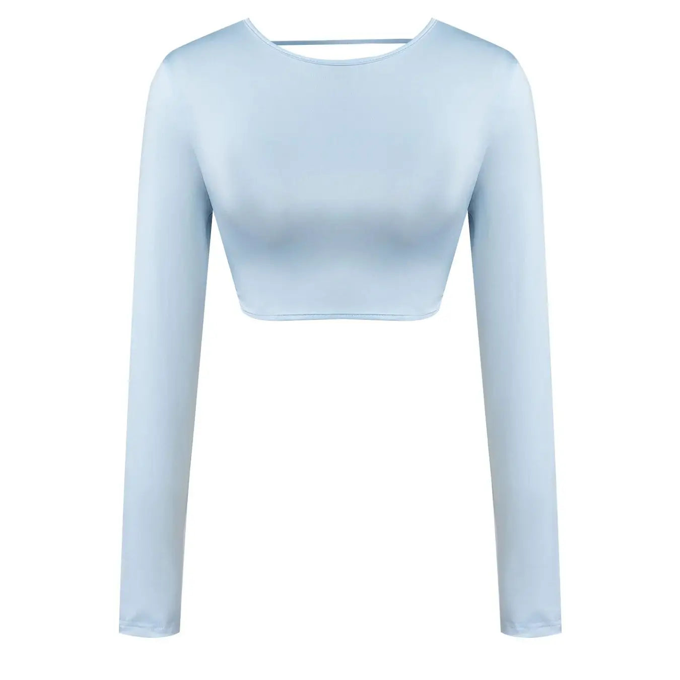 Light Blue Round Neck Long Sleeve Crop Slim Smooth Minimalist Chic Daily Casual Top