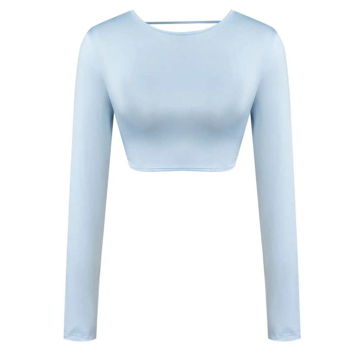 Light Blue Round Neck Long Sleeve Crop Slim Smooth Minimalist Chic Daily Casual Top