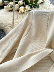 Senior Winter Sweater Dress