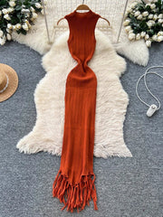 Vacation Tassel Knitted Dress