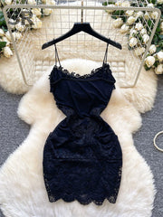 Lace Embroidery Sheer Dress