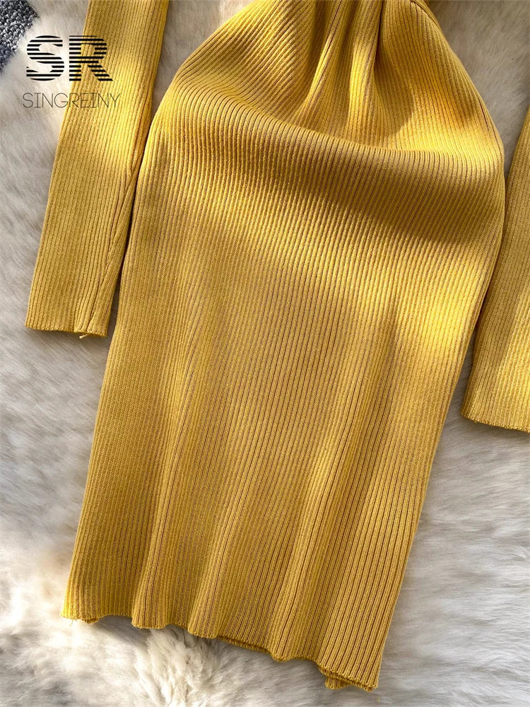 Winter Ladies Sweater Dress