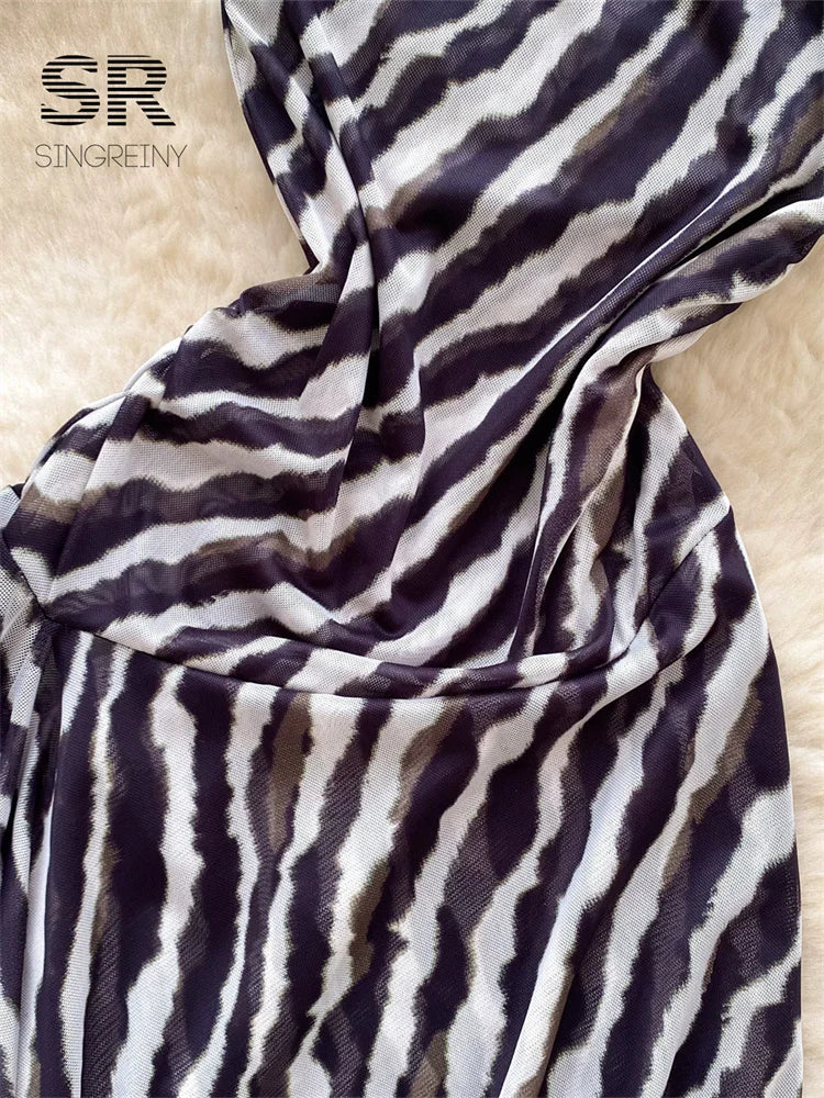 Zebra Print Mesh Dress