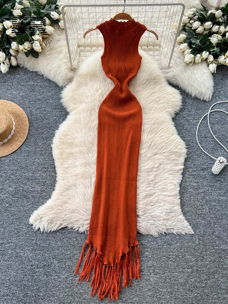Vacation Tassel Knitted Dress