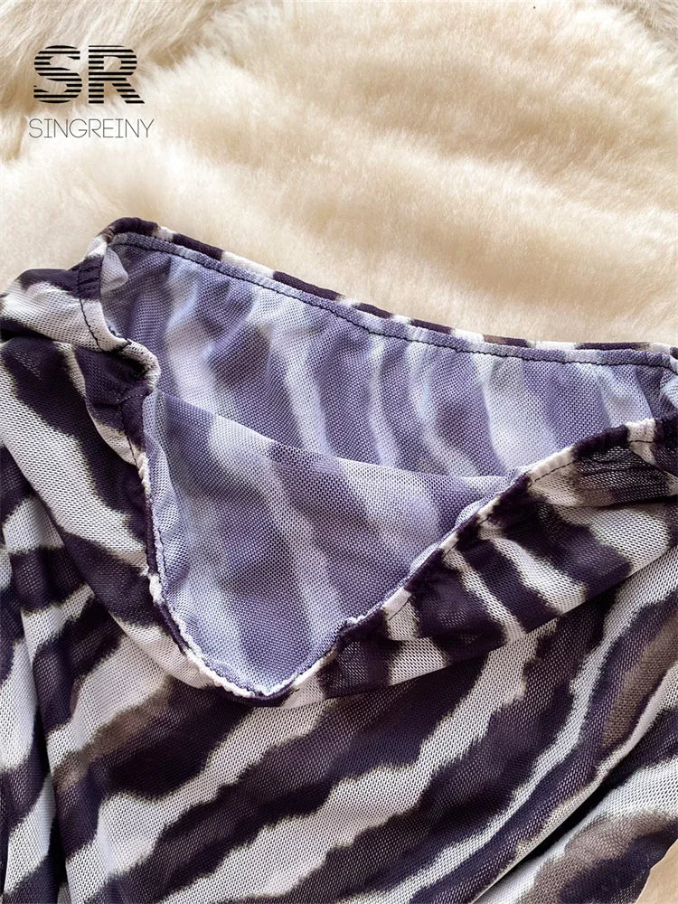 Zebra Print Mesh Dress