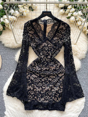 Sexy Lace Dress